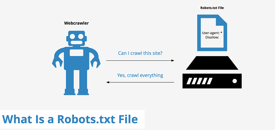 How to use Robots.txt File